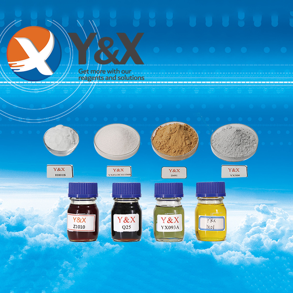 CHINA Y&X Beijing Technology Co., Ltd. Unternehmensprofil 